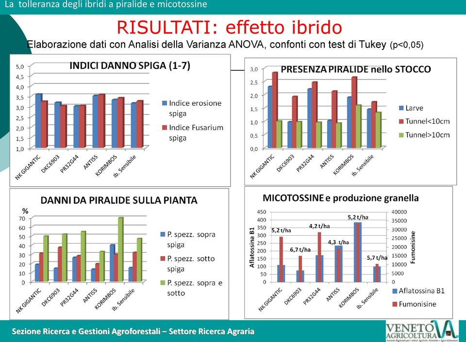 con test di Tukey (p<0,05) Sezione Ricerca e