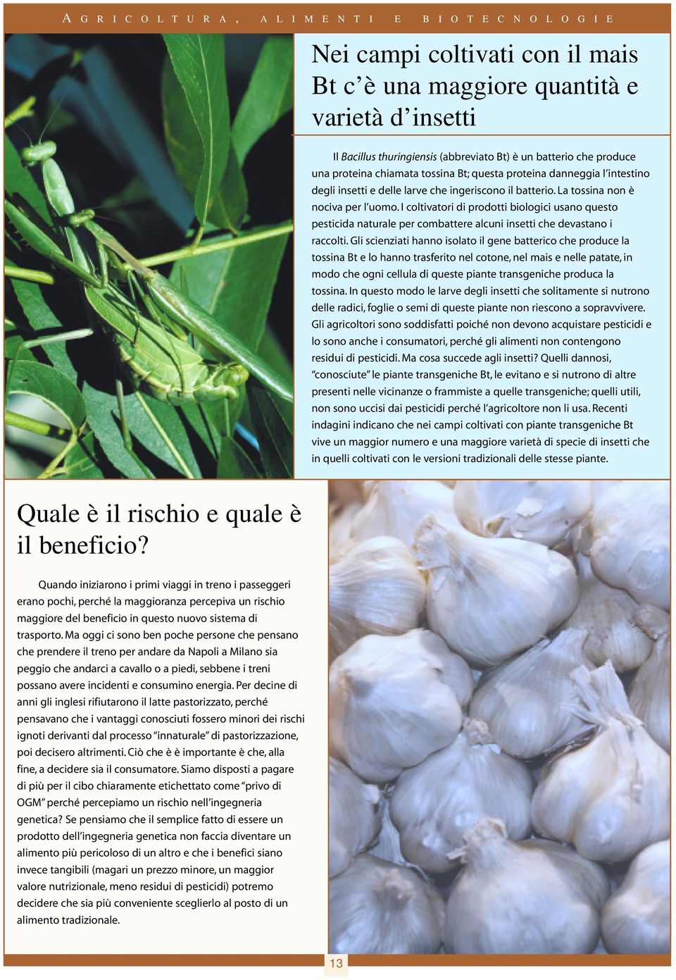 I coltivatori di prodotti biologici usano questo pesticida naturale per combattere alcuni insetti che devastano i raccolti.