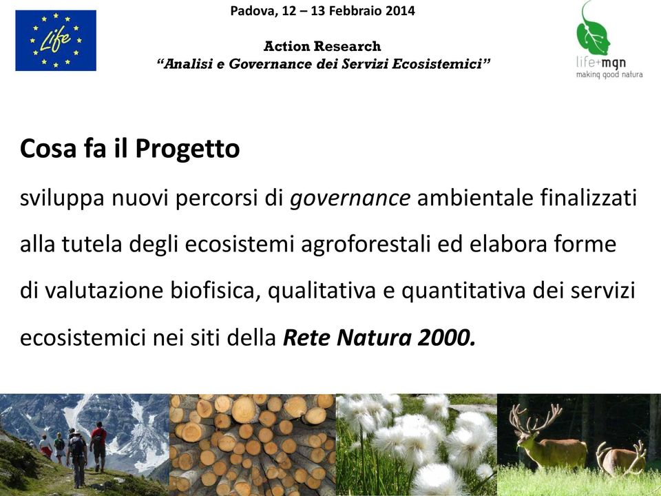 agroforestali ed elabora forme di valutazione biofisica,