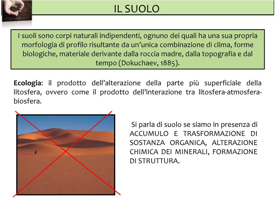 Ecologia: il prodotto dell alterazione della parte più superficiale della litosfera, ovvero come il prodotto dell interazione tra