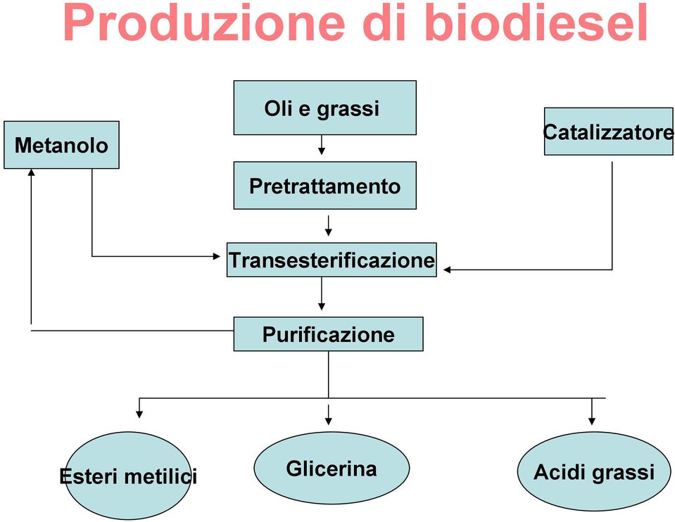 Catalizzatore Transesterificazione