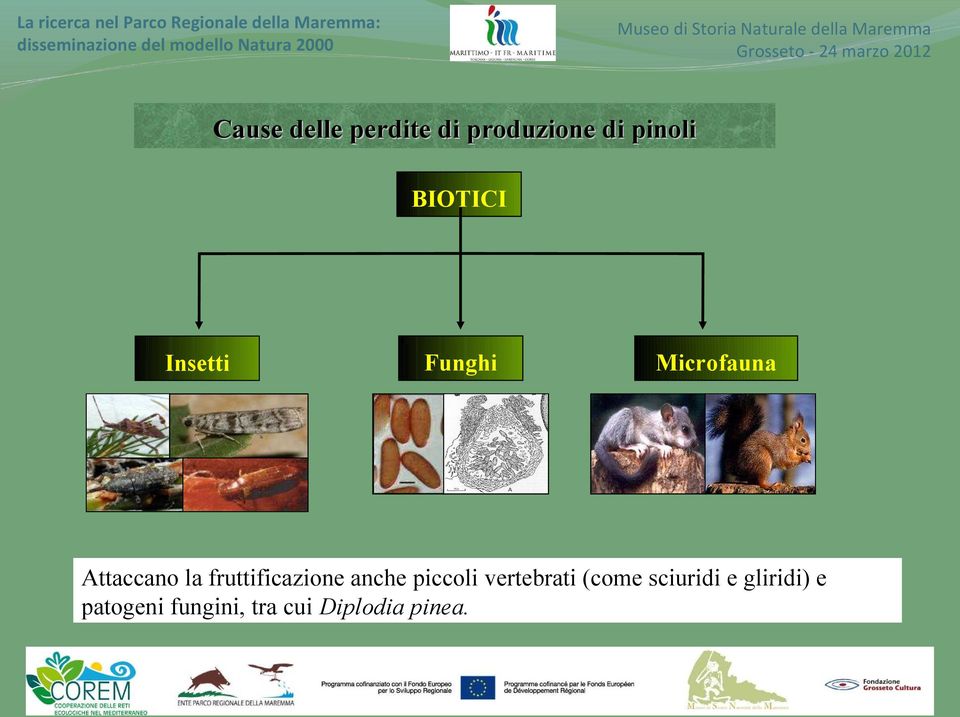 fruttificazione anche piccoli vertebrati (come