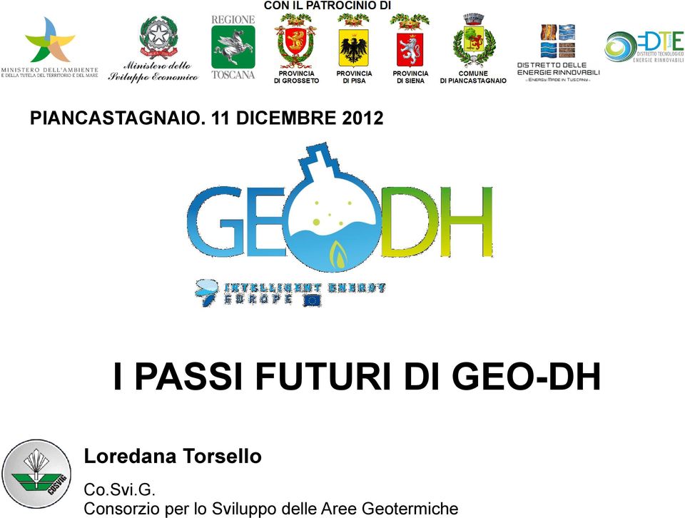 DI GEO-DH Loredana Torsello Co.