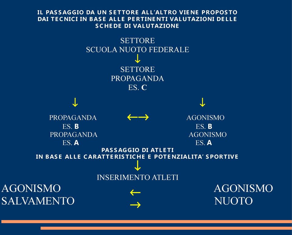 ES. C PROPAGANDA ES. B PROPAGANDA ES. A AGONISMO ES. B AGONISMO ES.