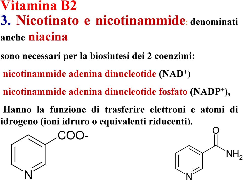 biosintesi dei 2 coenzimi: nicotinammide adenina dinucleotide (NAD + )