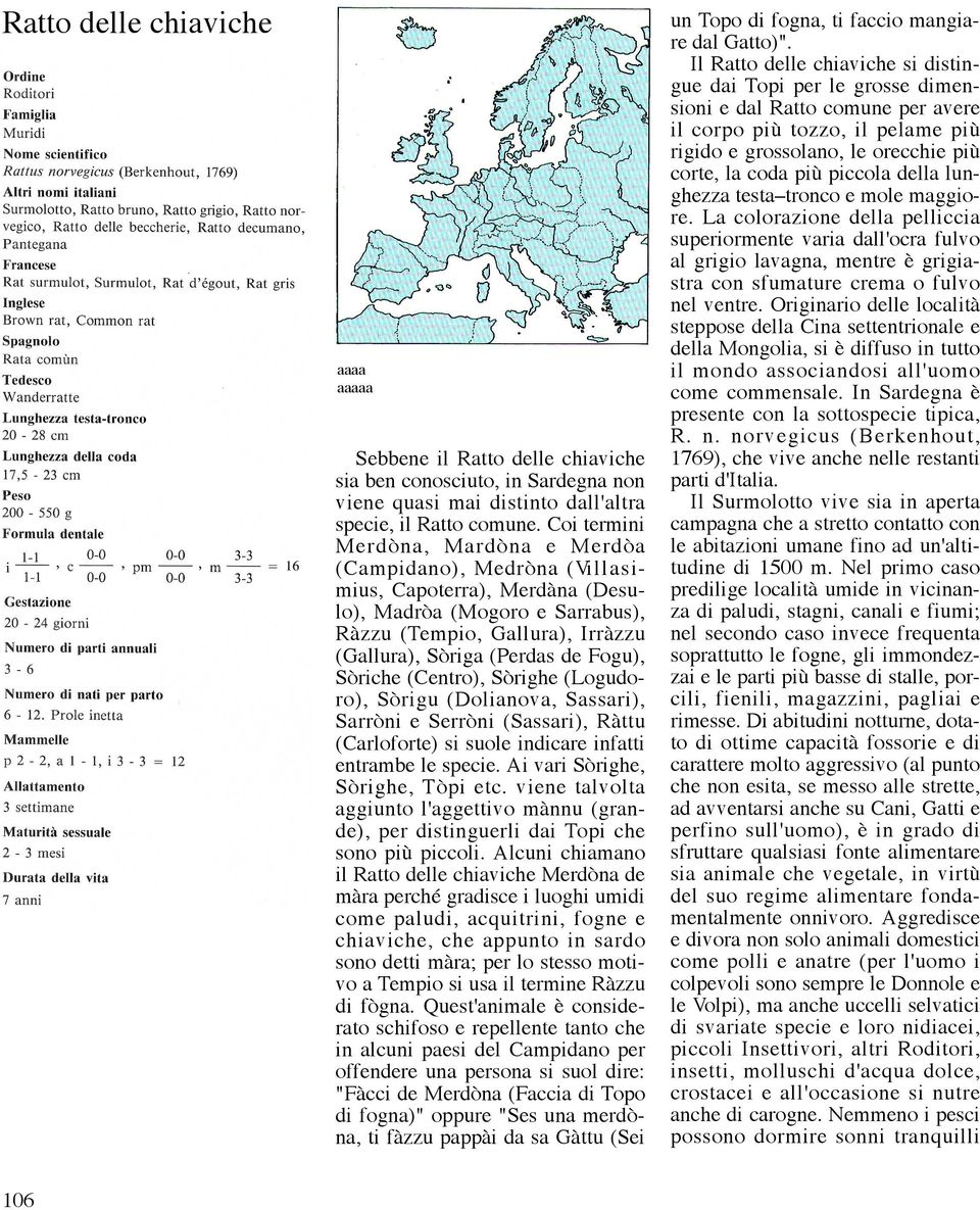 Fogu), Sòriche (Centro), Sòrighe (Logudoro), Sòrigu (Dolianova, Sassari), Sarròni e Serròni (Sassari), Ràttu (Carloforte) si suole indicare infatti entrambe le specie.