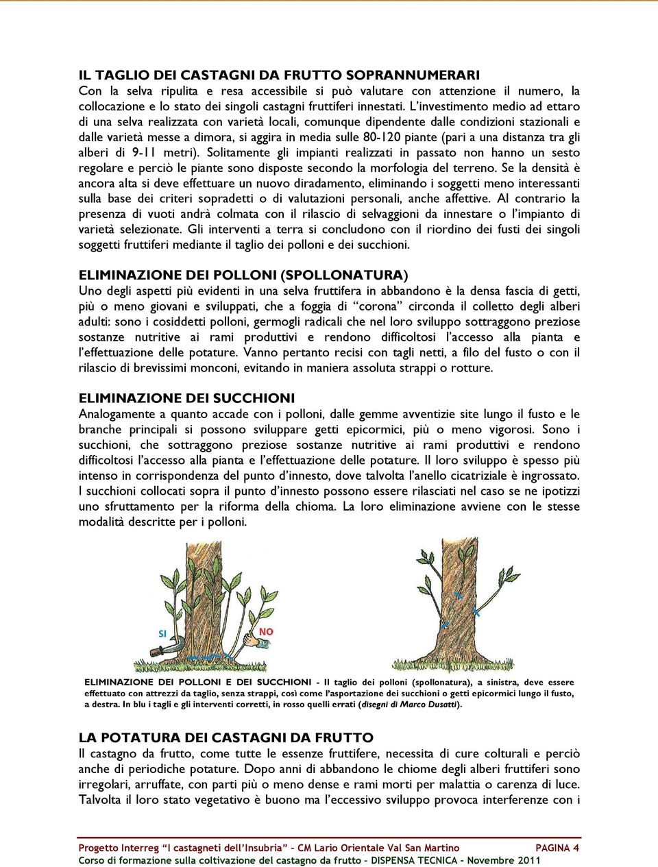 a una distanza tra gli alberi di 9-11 metri). Solitamente gli impianti realizzati in passato non hanno un sesto regolare e perciò le piante sono disposte secondo la morfologia del terreno.