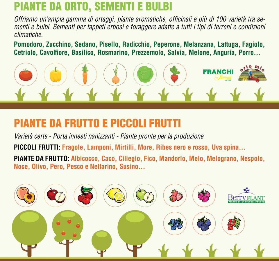 Pomodoro, Zucchino, Sedano, Pisello, Radicchio, Peperone, Melanzana, Lattuga, Fagiolo, Cetriolo, Cavolfiore, Basilico, Rosmarino, Prezzemolo, Salvia, Melone, Anguria, Porro.