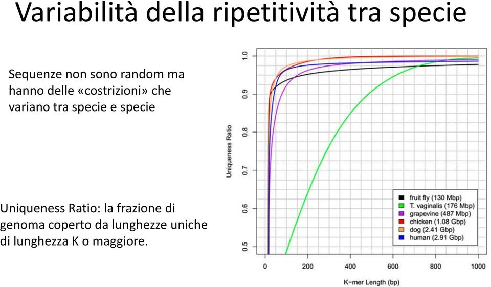 tra specie e specie Uniqueness Ratio: la frazione di