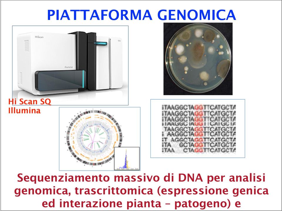 genica ed interazione pianta patogeno) e