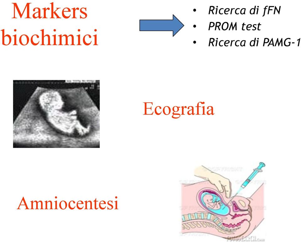 test Ricerca di