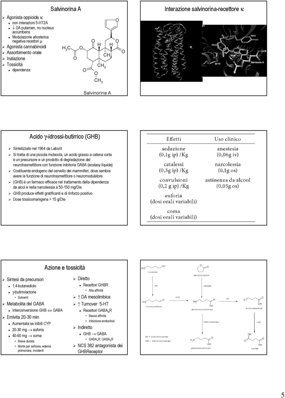 un prodotto di degradazione del neurotrasmettitore con funzione inibitoria GABA (ecstasy liquida) Costituente endogeno del cervello dei mammiferi, dove sembra avere la funzione di neurotrasmettitore