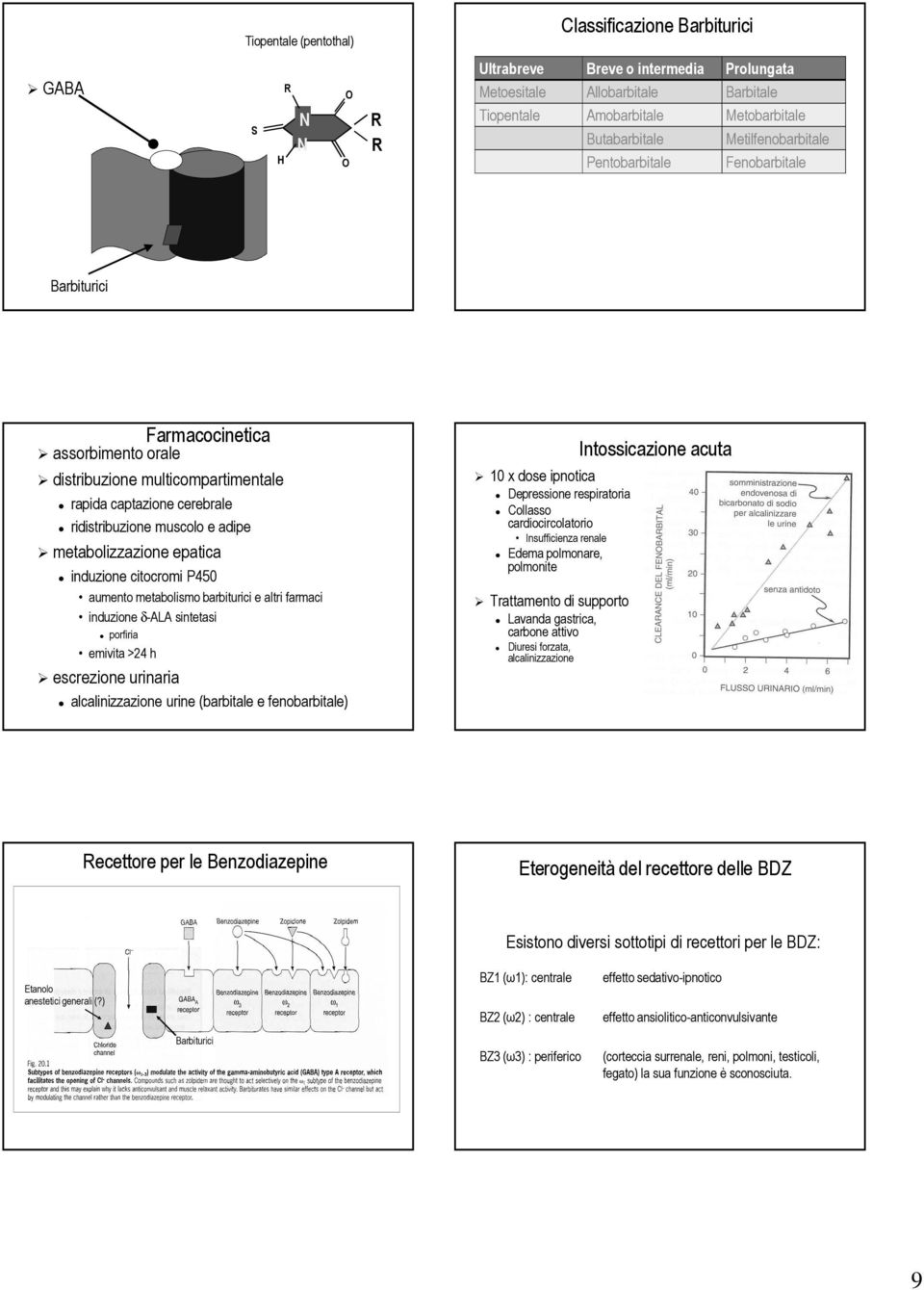 adipe metabolizzazione epatica induzione citocromi P450 aumento metabolismo barbiturici e altri farmaci induzione δ-ala sintetasi porfiria emivita >24 h escrezione urinaria alcalinizzazione urine