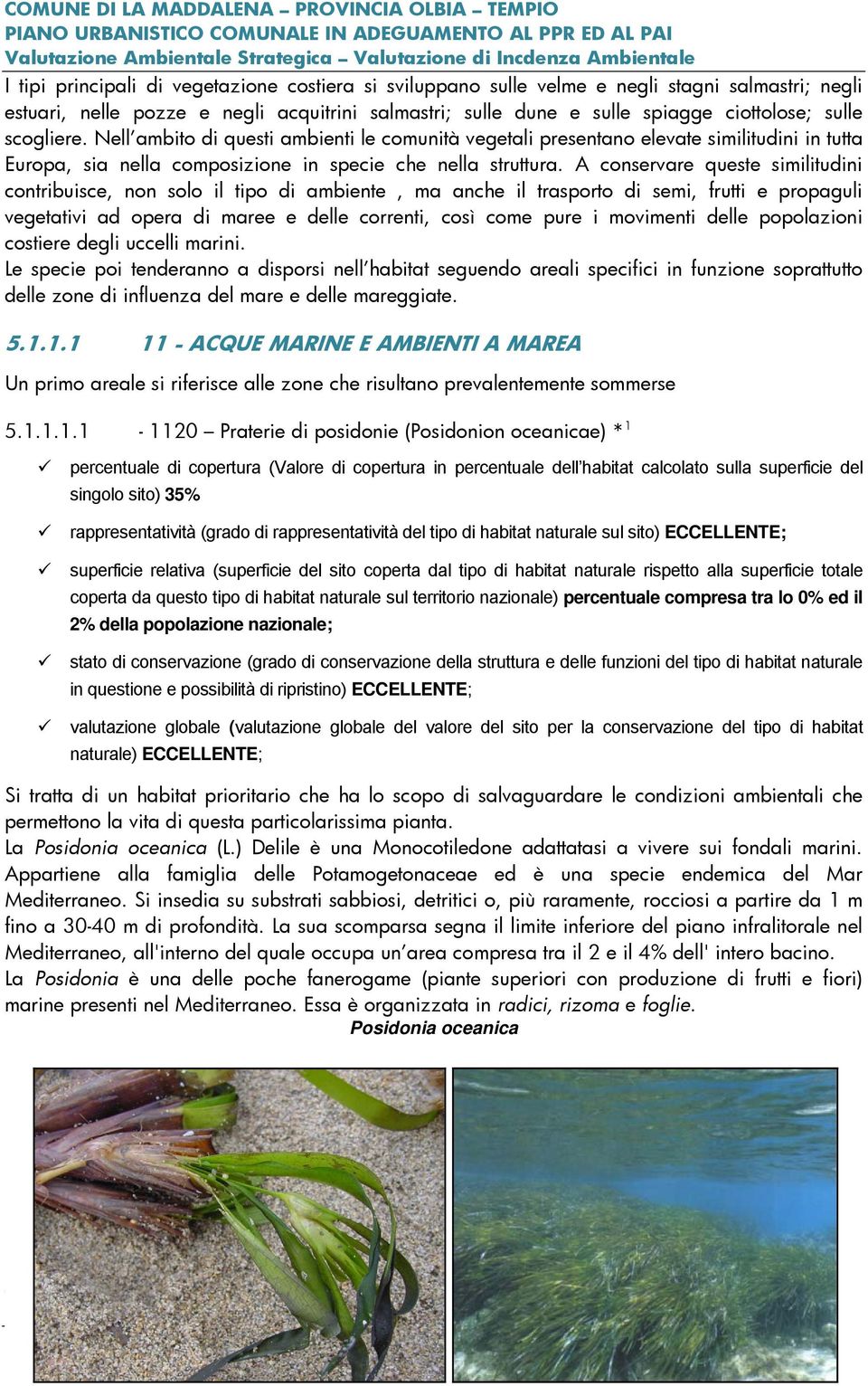 A conservare queste similitudini contribuisce, non solo il tipo di ambiente, ma anche il trasporto di semi, frutti e propaguli vegetativi ad opera di maree e delle correnti, così come pure i