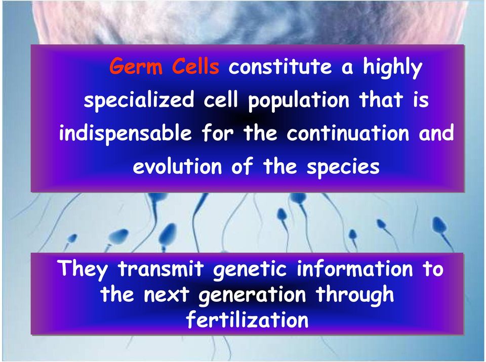 continuation and evolution of the species They