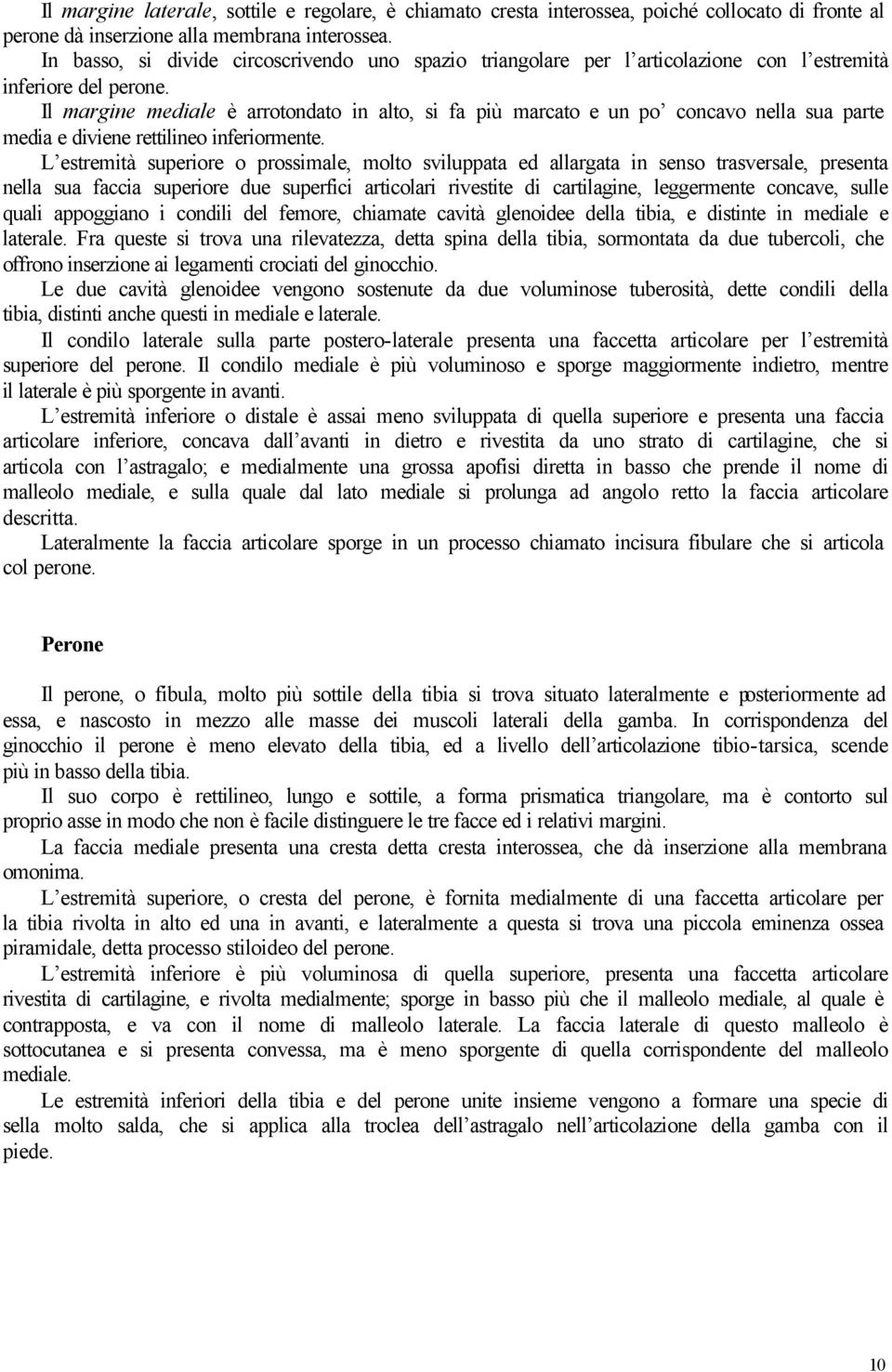 Il margine mediale è arrotondato in alto, si fa più marcato e un po concavo nella sua parte media e diviene rettilineo inferiormente.