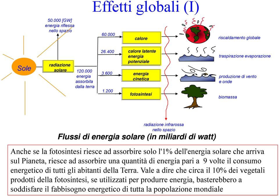 miliardi di watt) Anche se la fotosintesi riesce ad assorbire solo l'1% l1% dell'energia energia solare che arriva sul Pianeta, riesce ad assorbire una quantità di energia pari a 9 volte il consumo