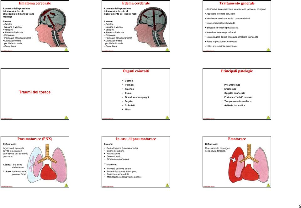 Emiplegia Perdita di coscienza/coma Dilatazione delle pupille/anisocoria Convulsioni generale Assicurare la respirazione: ventilazione, pervietà, ossigeno Applicare il collare cervicale Monitorare