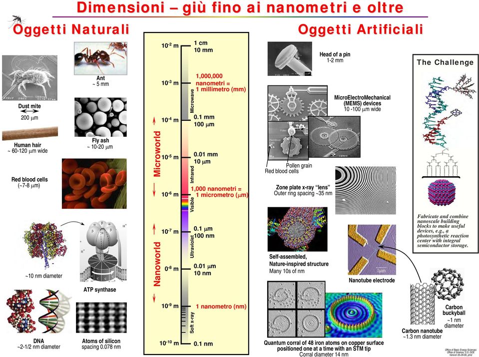 0.1 mm 100 m 0.01 mm 10 m 1,000 nanometri = 1 micrometro ( m) 0.1 m 100 nm 0.