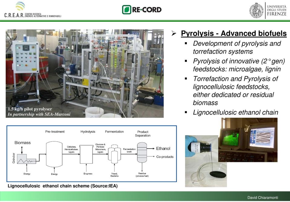 microalgae, lignin Torrefaction and Pyrolysis of lignocellulosic feedstocks, either dedicated