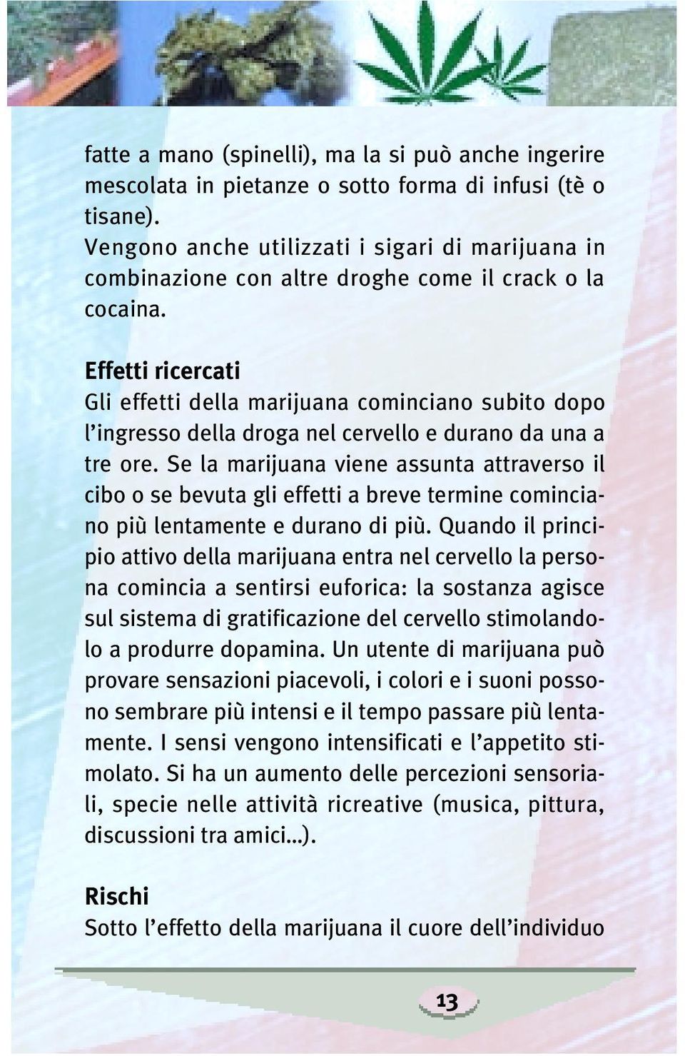 Effetti ricercati Gli effetti della marijuana cominciano subito dopo l ingresso della droga nel cervello e durano da una a tre ore.