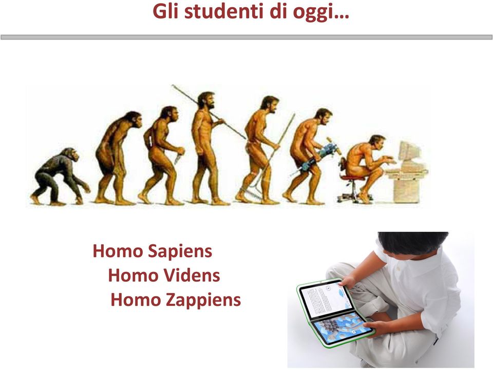 Homo Sapiens Homo