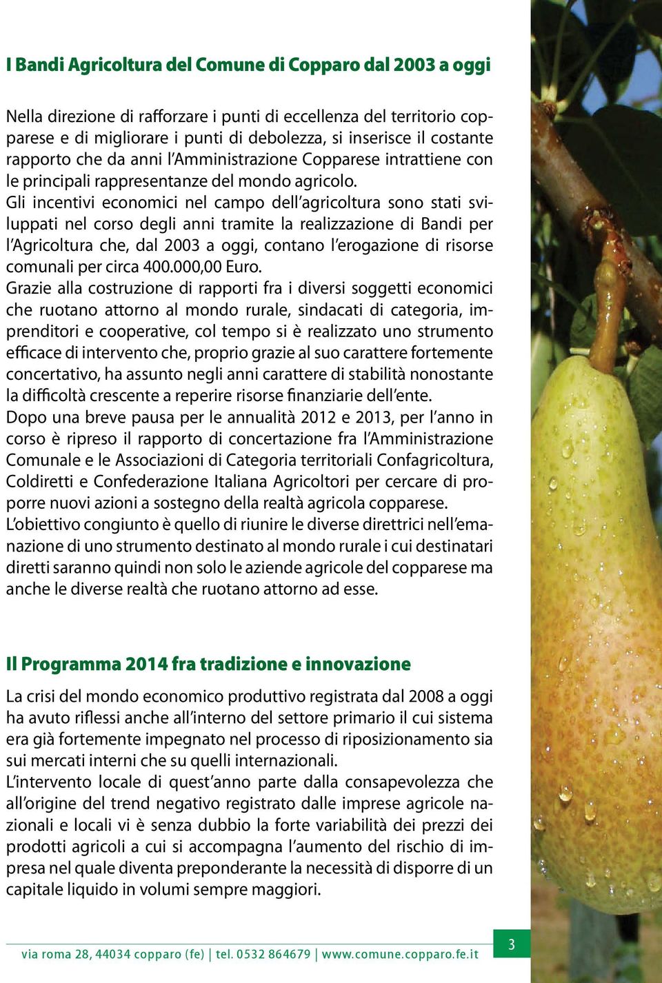 Gli incentivi economici nel campo dell agricoltura sono stati sviluppati nel corso degli anni tramite la realizzazione di Bandi per l Agricoltura che, dal 2003 a oggi, contano l erogazione di risorse