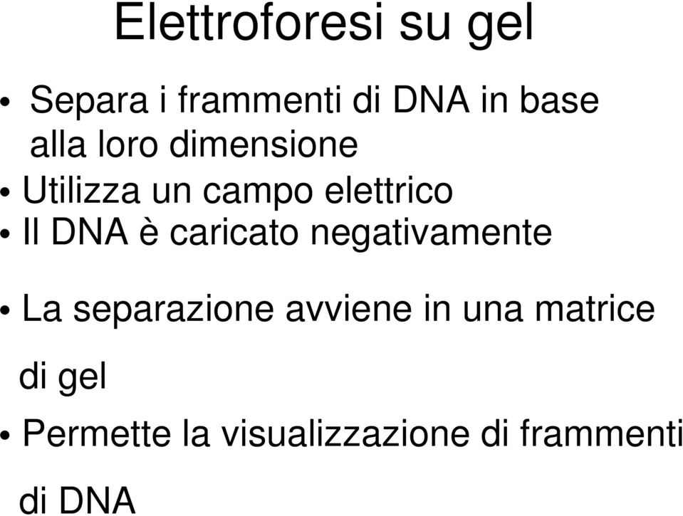 è caricato negativamente La separazione avviene in una