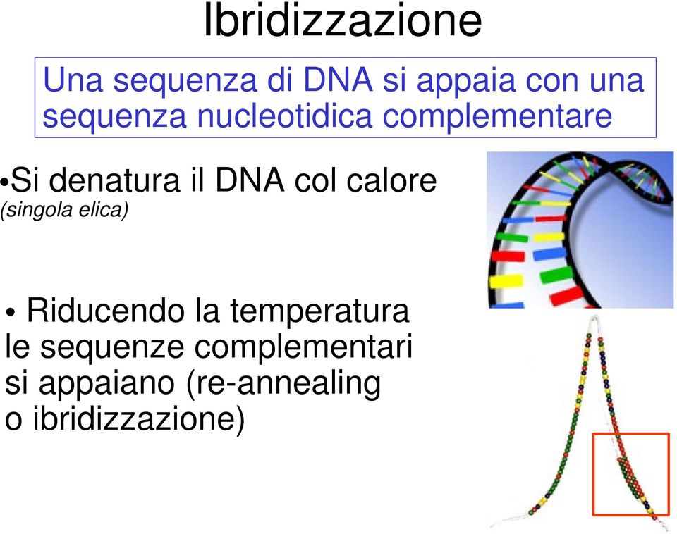 col calore (singola elica) Riducendo la temperatura le