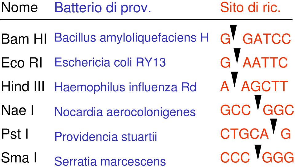 influenza Rd Nocardia aerocolonigenes Providencia stuartii