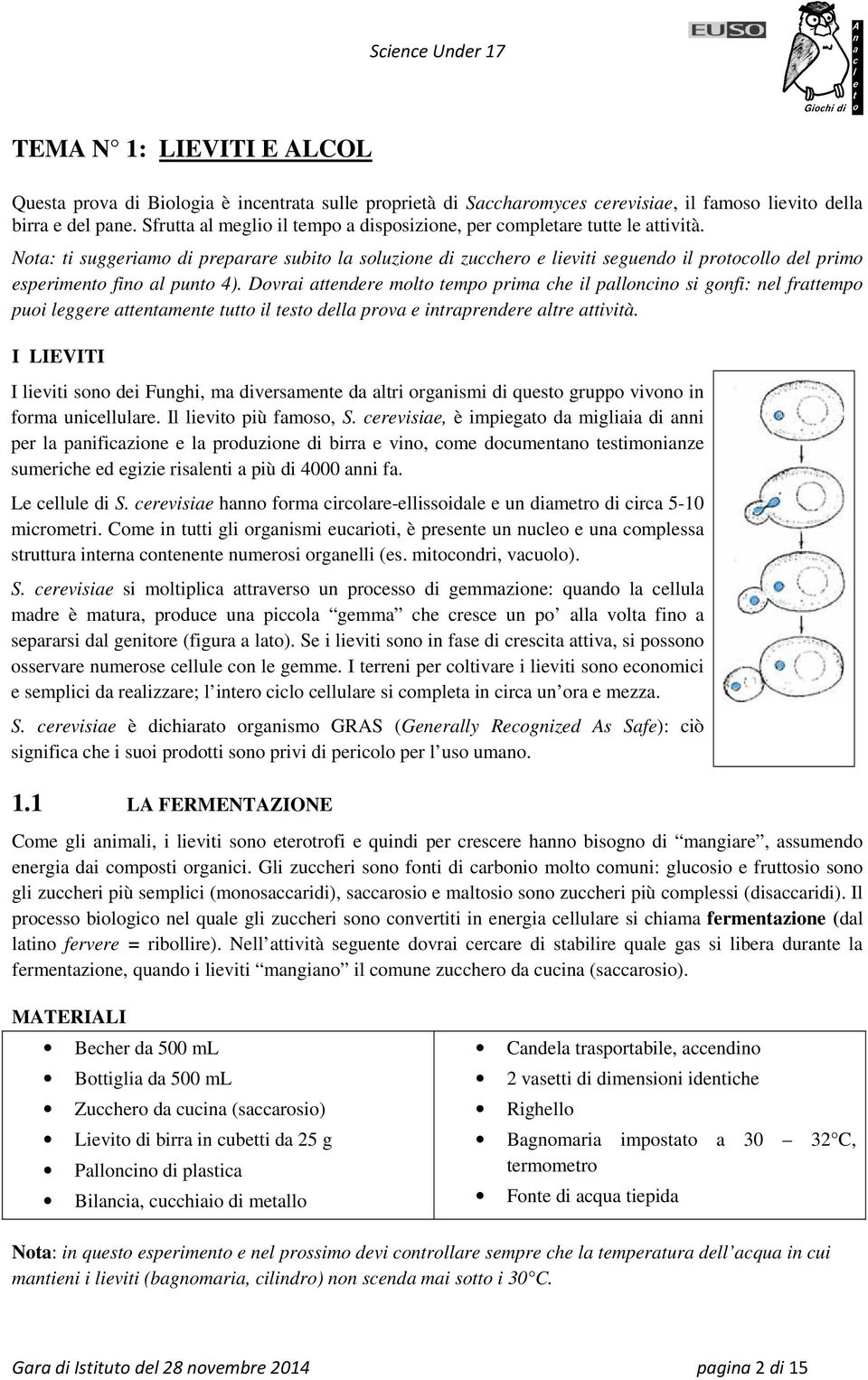 Nota: ti suggeriamo di preparare subito la soluzione di zucchero e lieviti seguendo il protocollo del primo esperimento fino al punto 4).