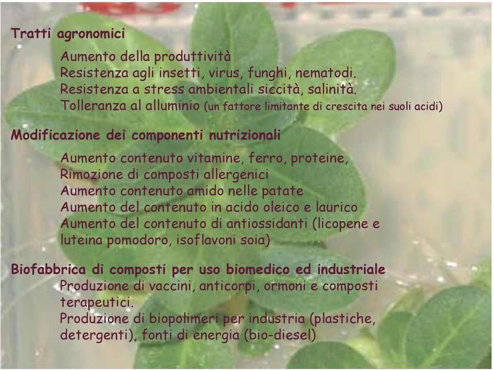 composti allergenici Aumento contenuto amido nelle patate Aumento del contenuto in acido oleico e laurico Aumento del contenuto di antiossidanti (licopene e luteina pomodoro,