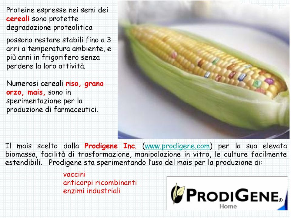 Numerosi cereali riso, grano orzo, mais, sono in sperimentazione per la produzione di farmaceutici. Il mais scelto dalla Prodigene Inc. (www.