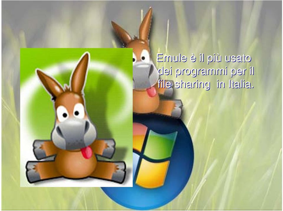 programmi per il