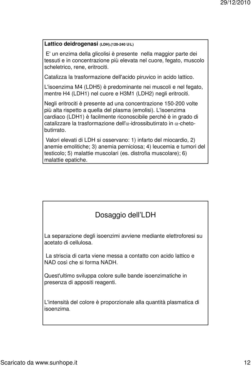 Catalizza la trasformazione dell'acido piruvico in acido lattico. L'isoenzima M4 (LDH5) è predominante nei muscoli e nel fegato, mentre H4 (LDH1) nel cuore e H3M1 (LDH2) negli eritrociti.