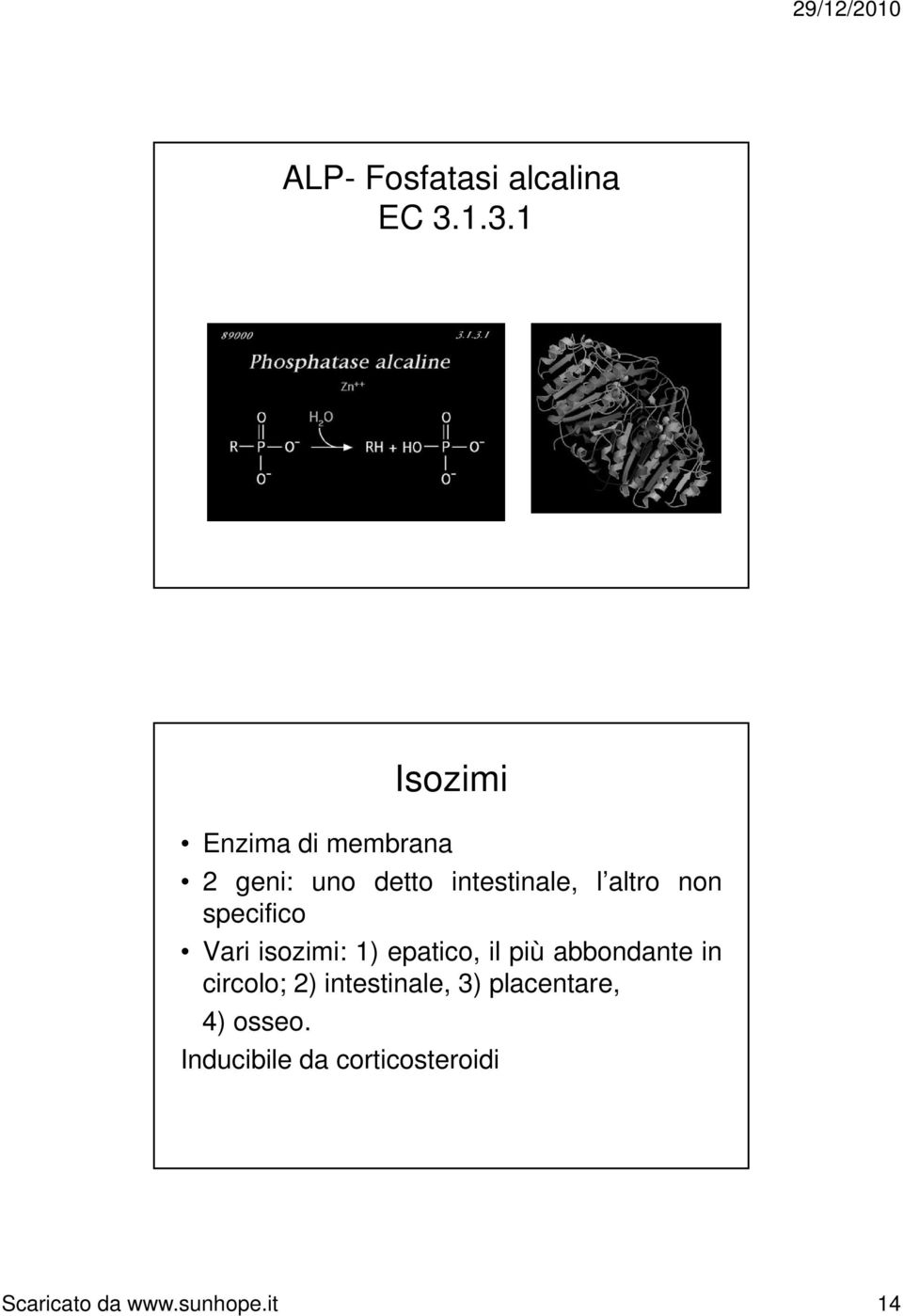 altro non specifico Vari isozimi: 1) epatico, il più abbondante in