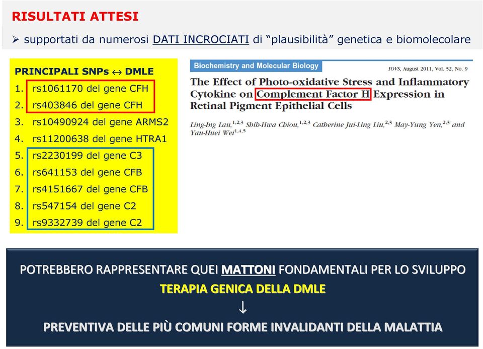 rs2230199 del gene C3 6. rs641153 del gene CFB 7. rs4151667 del gene CFB 8. rs547154 del gene C2 9.