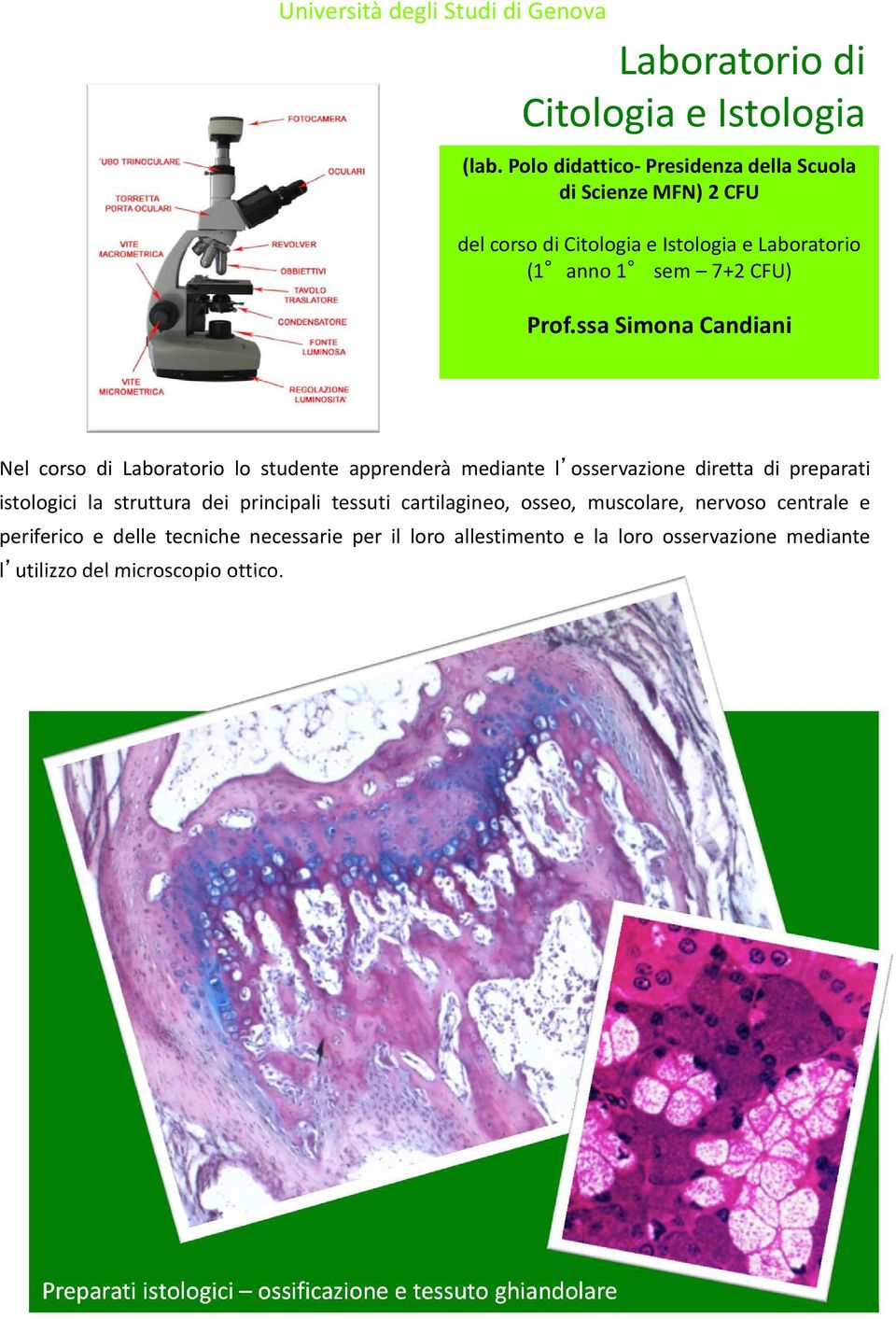 ssa Simona Candiani Nel corso di Laboratorio lo studente apprenderà mediante l osservazione diretta di preparati istologici la struttura dei