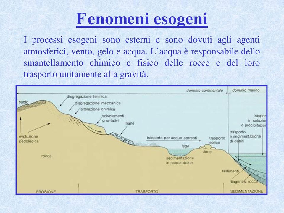 L acqua è responsabile dello smantellamento chimico e