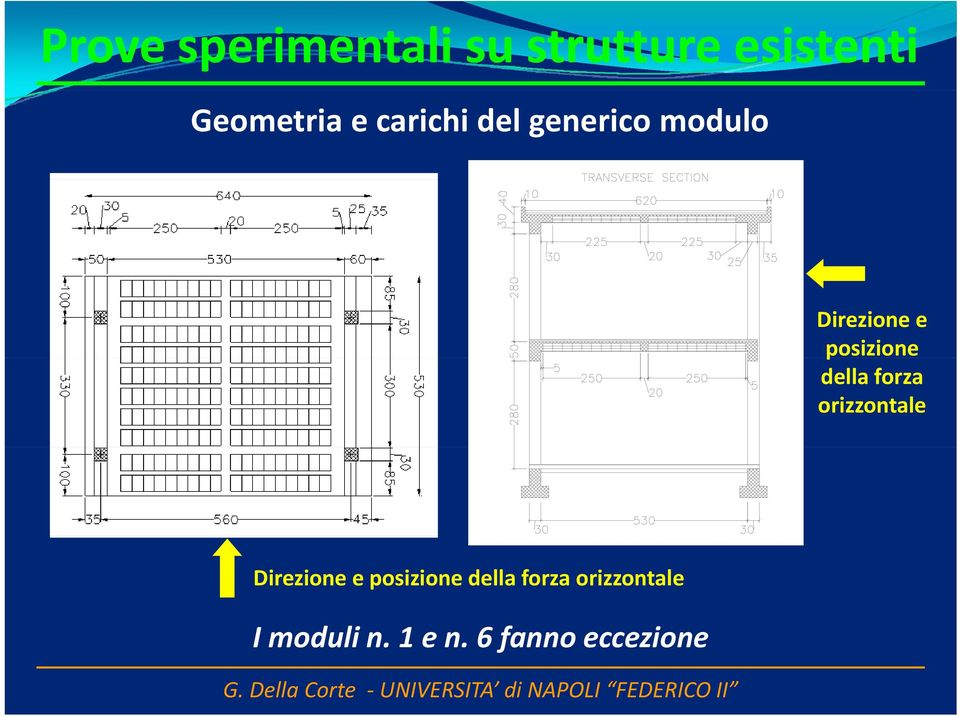 della forza orizzontale Direzione e posizione della