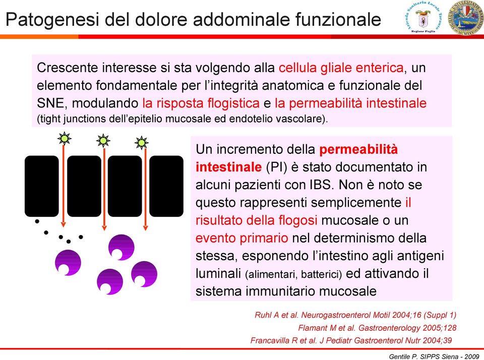 Un incremento della permeabilità intestinale (PI) è stato documentato in alcuni pazienti con IBS.