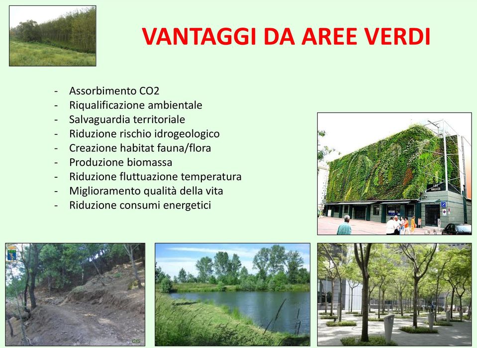 Creazione habitat fauna/flora - Produzione biomassa - Riduzione