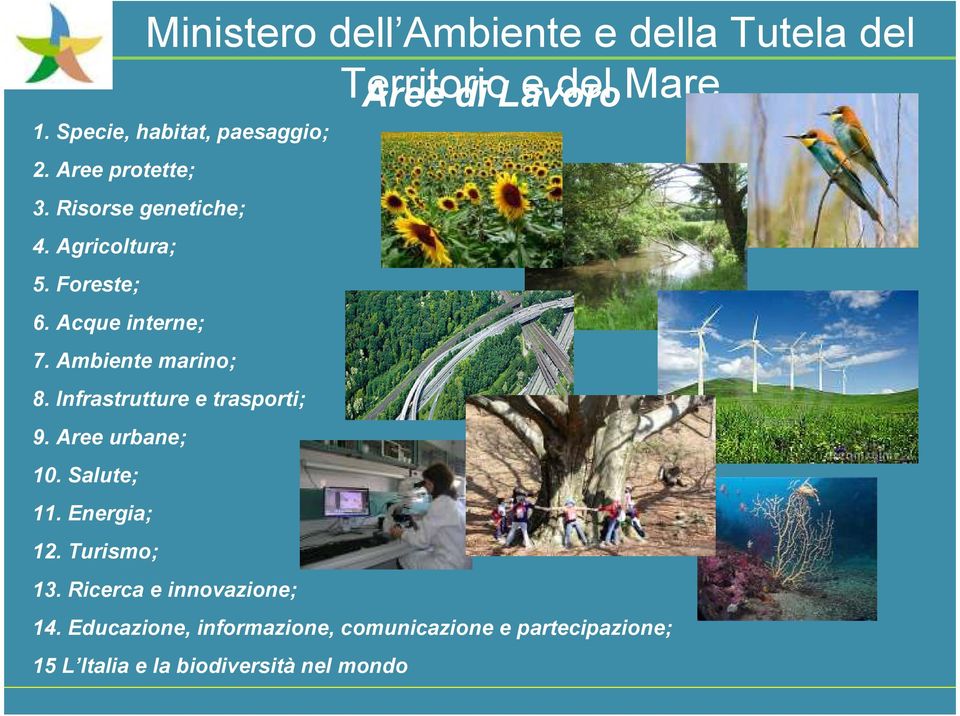 Infrastrutture e trasporti; 9. Aree urbane; 10. Salute; 11. Energia; 12. Turismo; 13.