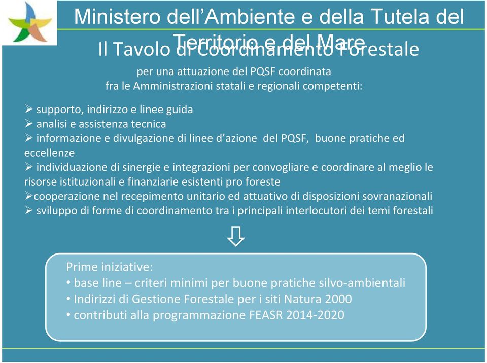 istituzionali e finanziarie esistenti pro foreste cooperazione nel recepimento unitario ed attuativo di disposizioni sovranazionali sviluppo di forme di coordinamento tra i principali