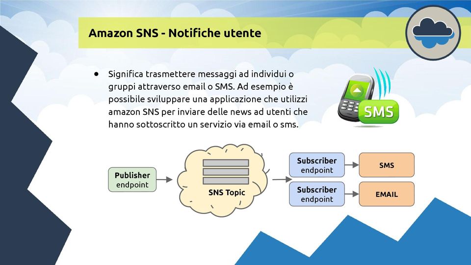 Ad esempio è possibile sviluppare una applicazione che utilizzi amazon