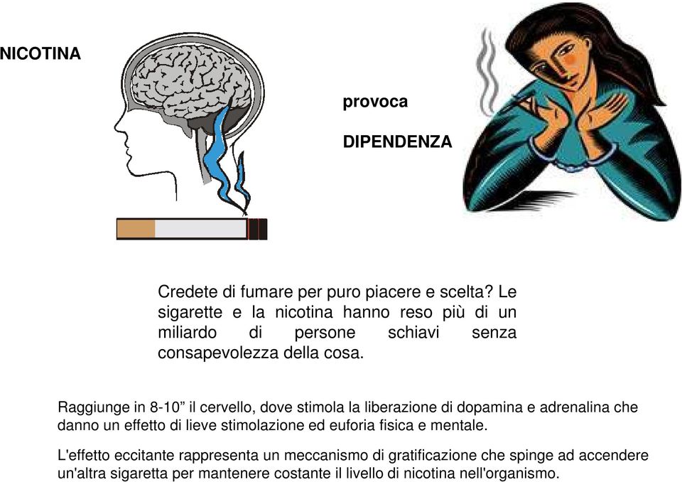 Raggiunge in 8-10 il cervello, dove stimola la liberazione di dopamina e adrenalina che danno un effetto di lieve stimolazione