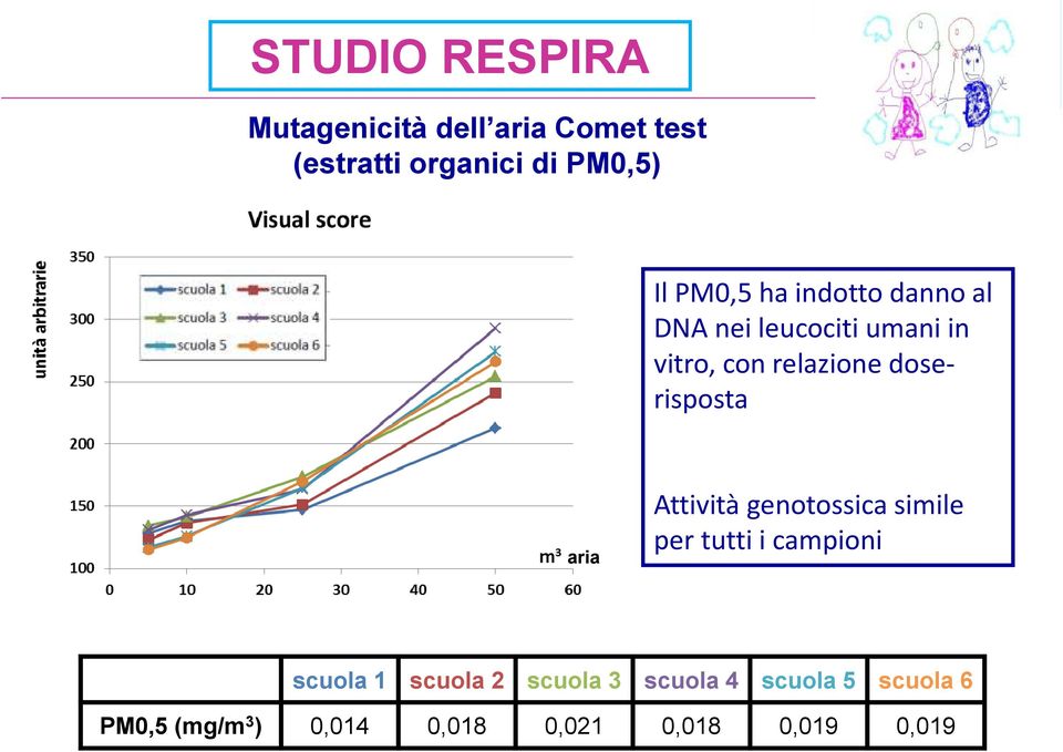 doserisposta aria Attività genotossica simile per tutti i campioni scuola 1