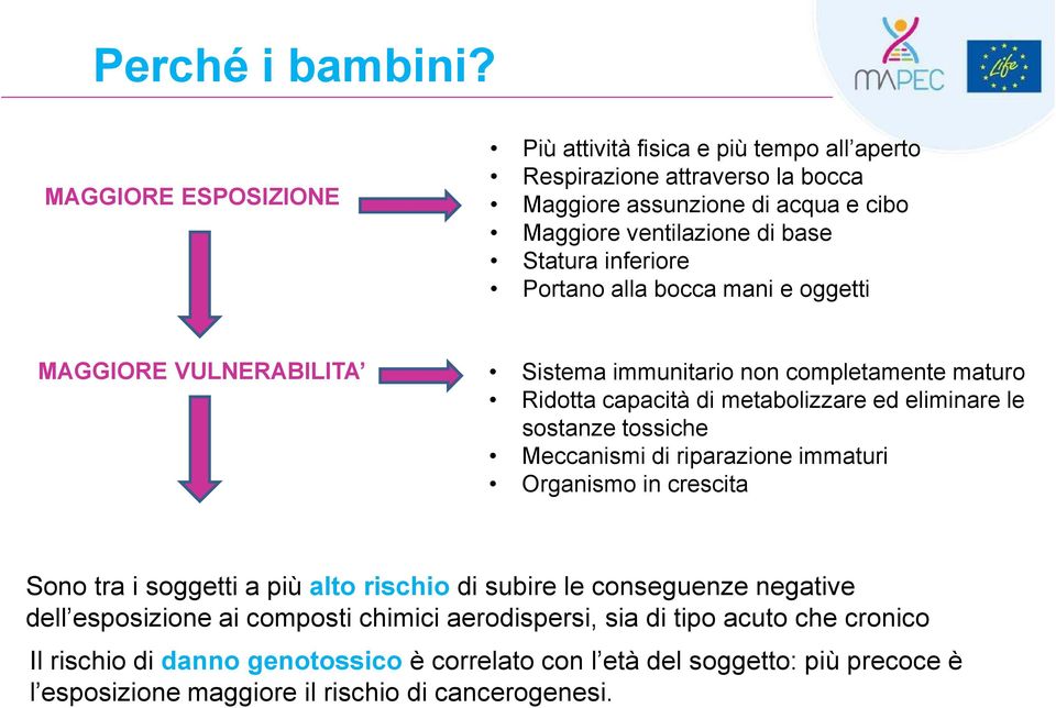 inferiore Portano alla bocca mani e oggetti MAGGIORE VULNERABILITA Sistema immunitario non completamente maturo Ridotta capacità di metabolizzare ed eliminare le sostanze