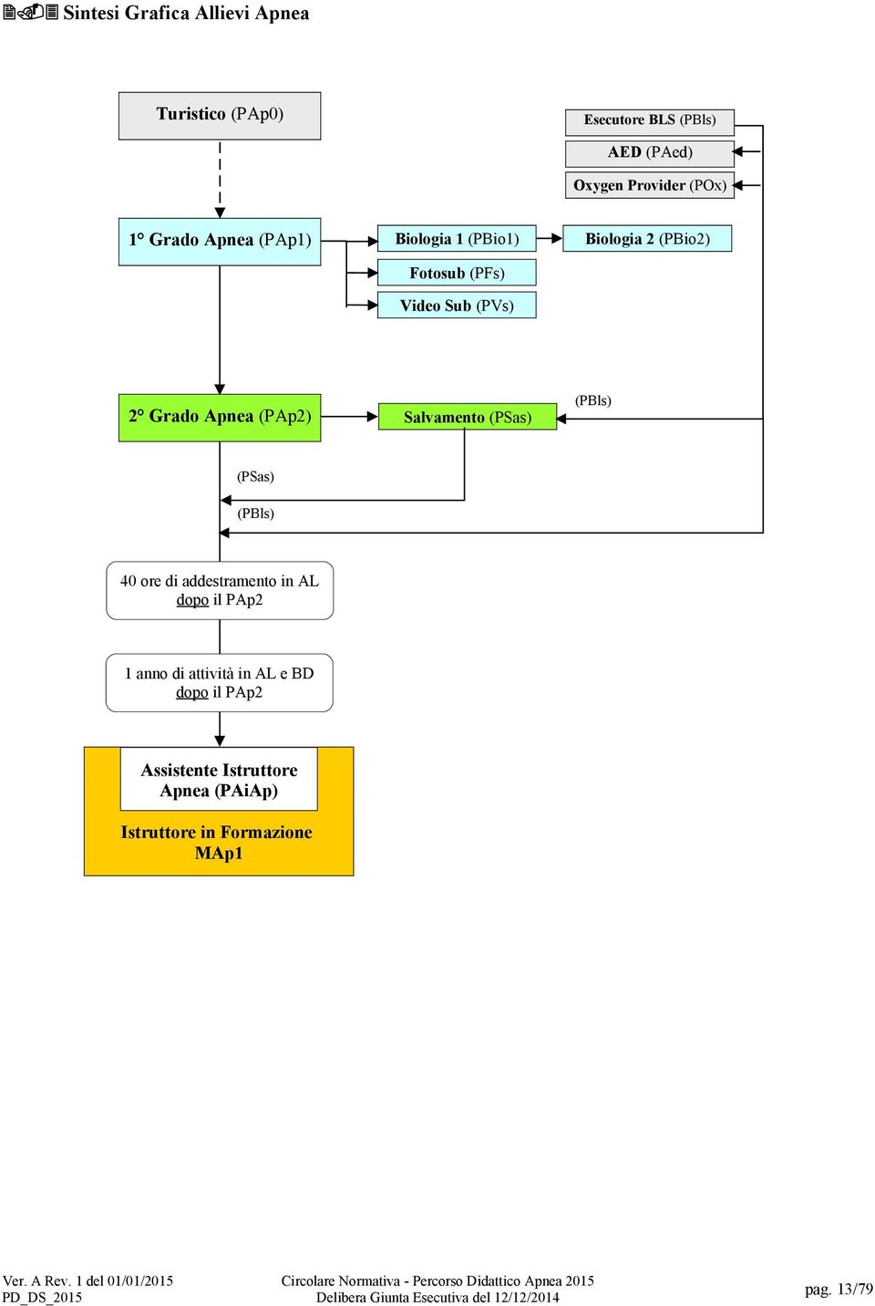 (PSas) (PBls) (PSas) (PBls) 40 ore di addestramento in AL dopo il PAp2 1 anno di attività in AL e BD dopo il PAp2