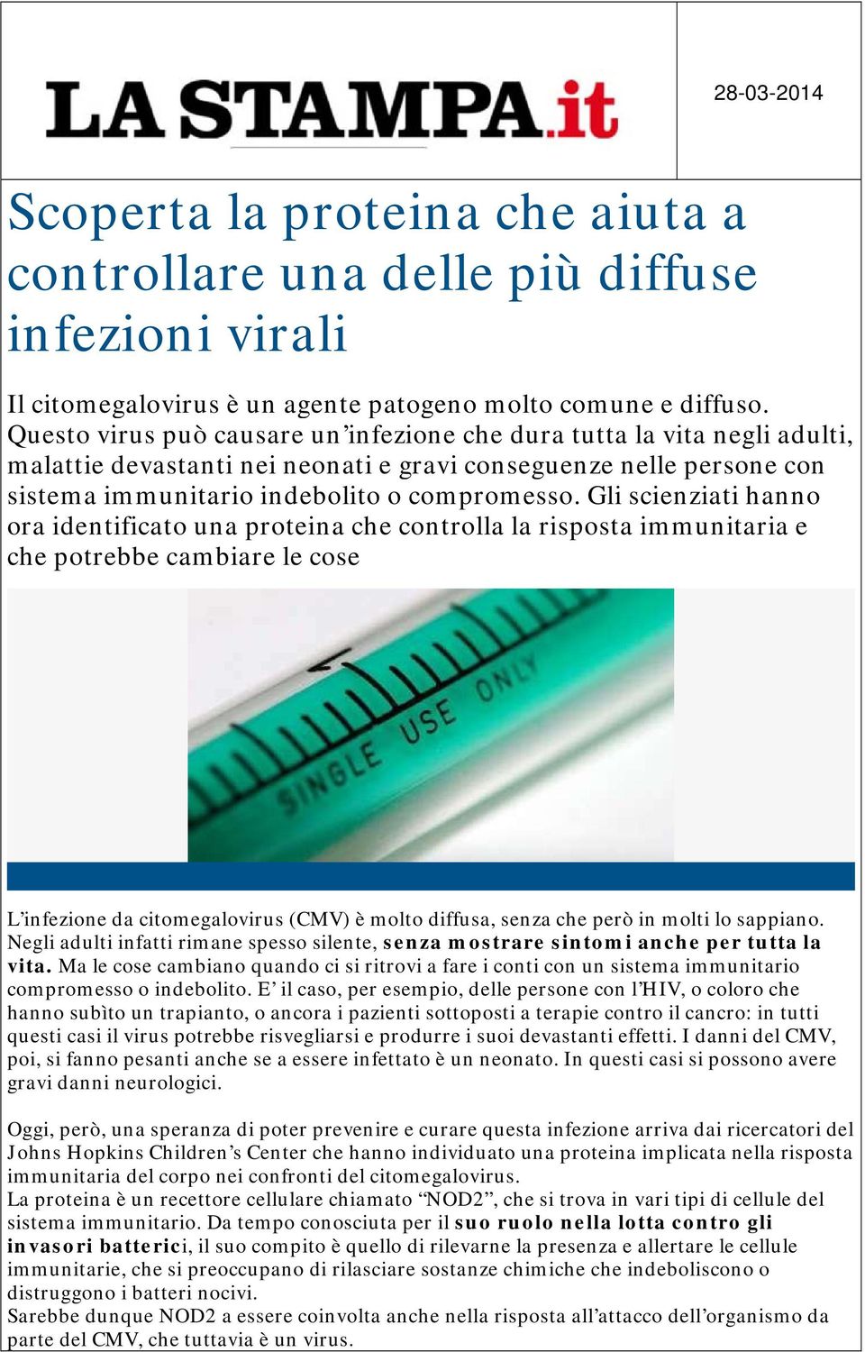 Gli scienziati hanno ora identificato una proteina che controlla la risposta immunitaria e che potrebbe cambiare le cose L infezione da citomegalovirus (CMV) è molto diffusa, senza che però in molti